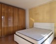 Pegasus - 