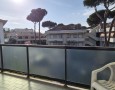 Pegasus - 