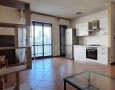 Pegasus - 