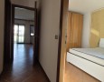 Pegasus - 