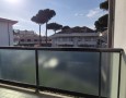 Pegasus - 