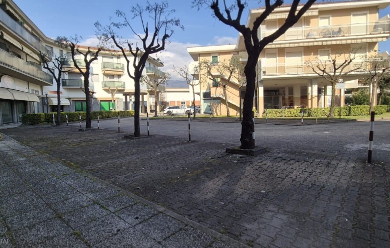 Agenzia Pegasus - 