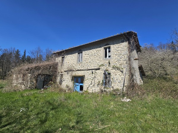 Riferimento SFcapanne - Casa Singola in Vendita a Santa Fiora