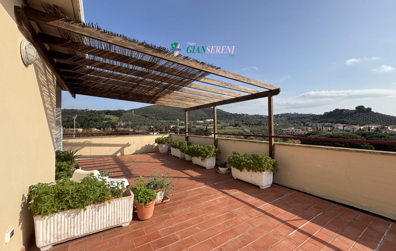 Agenzia Giansereni - 