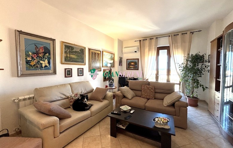 Agenzia Giansereni - 