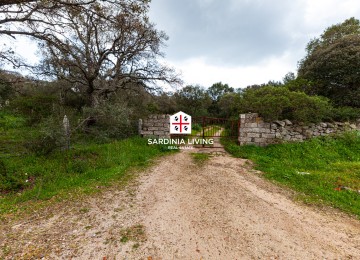 Splendida sughereta di circa 3
