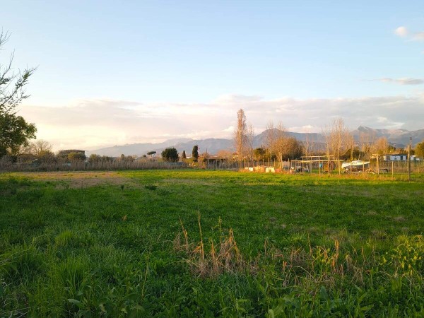 Riferimento V2303 - Casa Semi Indipendente in Vendita a Viareggio