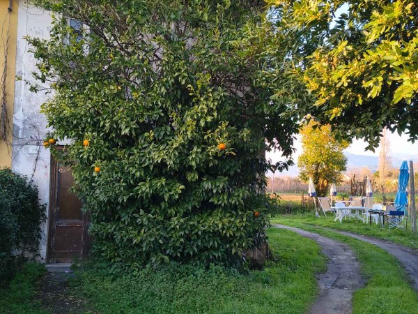 Rif. V2303 - casa semi indipendente in vendita a Viareggio | Foto 4