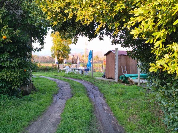 Rif. V2303 - casa semi indipendente in vendita a Viareggio | Foto 1