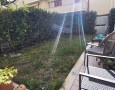Pegasus - 