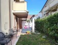 Pegasus - 