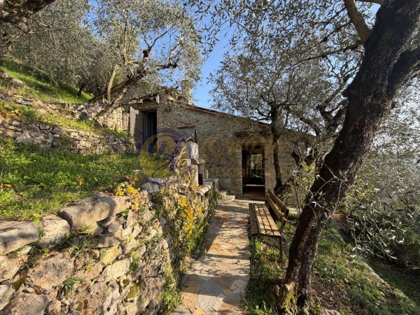 Riferimento CAMPICL203 - Rustico in Vendita a Pieve Di Camaiore