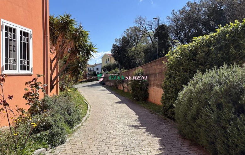 Agenzia Giansereni - 