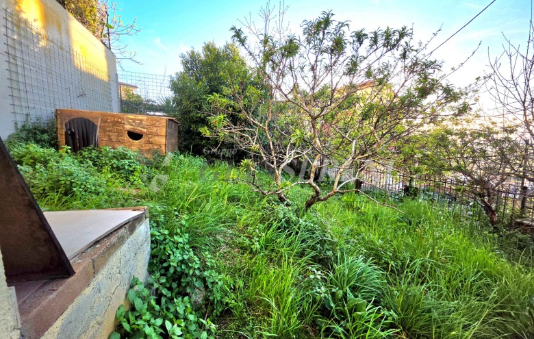 Agenzia Giansereni - 