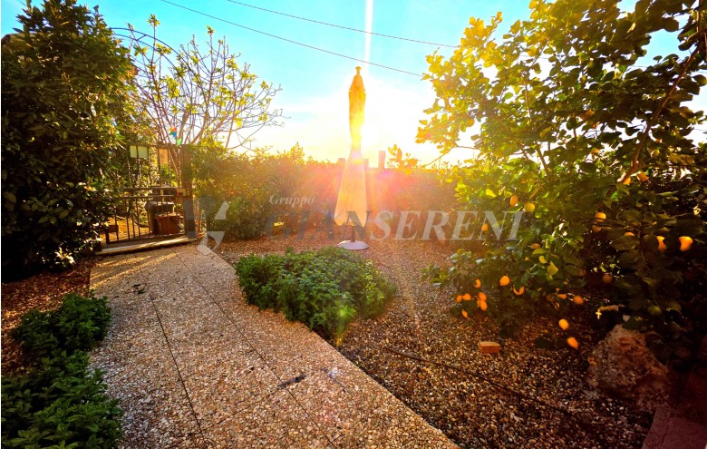 Agenzia Giansereni - 