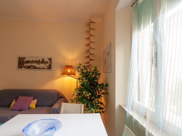 A due passi dal mare, tra pine