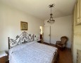 Pegasus - 