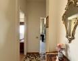 Pegasus - 