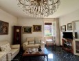 Pegasus - 