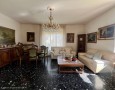 Pegasus - 