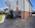 Pegasus - 