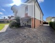 Pegasus - 