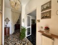 Pegasus - 