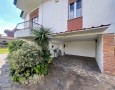 Pegasus - 