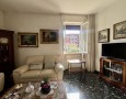 Pegasus - 
