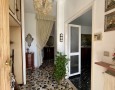 Pegasus - 