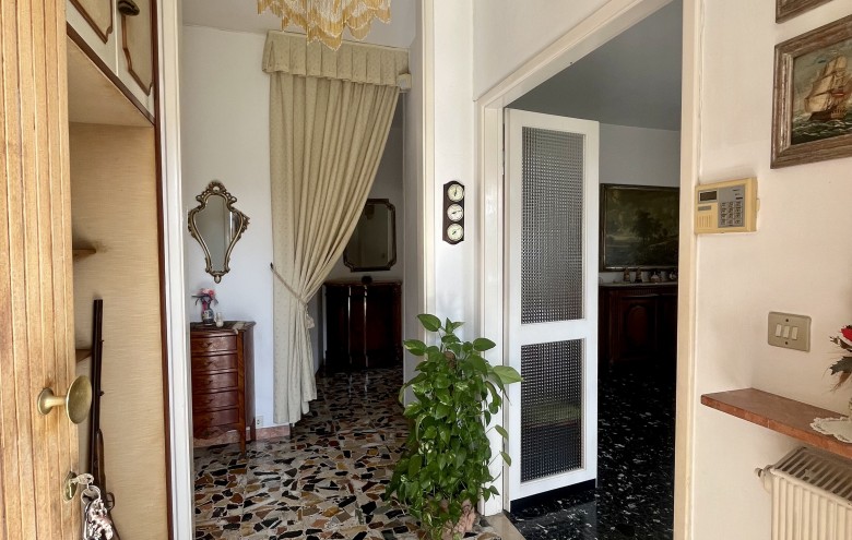Agenzia Pegasus - 