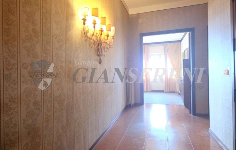 Agenzia Giansereni - 