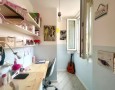 Pegasus - 