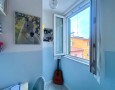 Pegasus - 