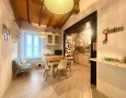 Pegasus - 