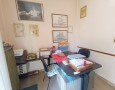 Pegasus - 