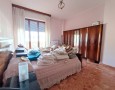 Pegasus - 
