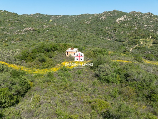 Terreno agricolo