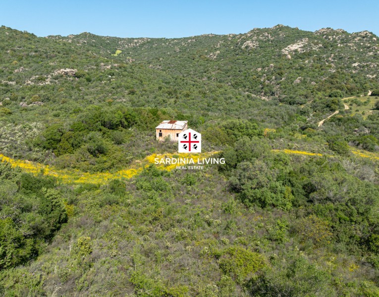 Terreno agricolo