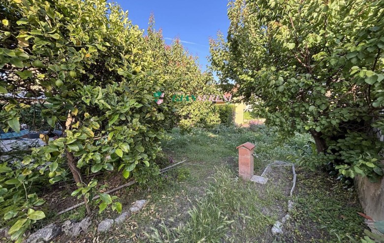 Agenzia Giansereni - 