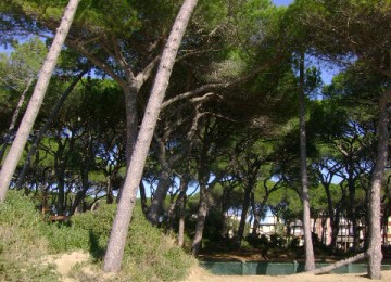 Follonica/salciaina appartamen