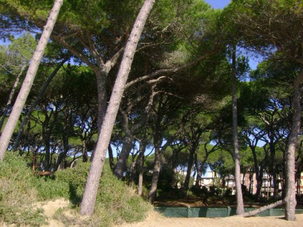 Follonica/salciaina appartamen