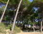 Follonica/salciaina appartamen