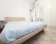 Pegasus - 