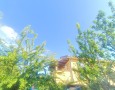 Pegasus - 