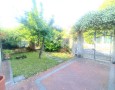 Pegasus - 