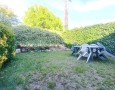 Pegasus - 