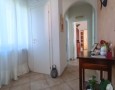 Pegasus - 