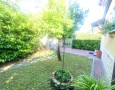Pegasus - 