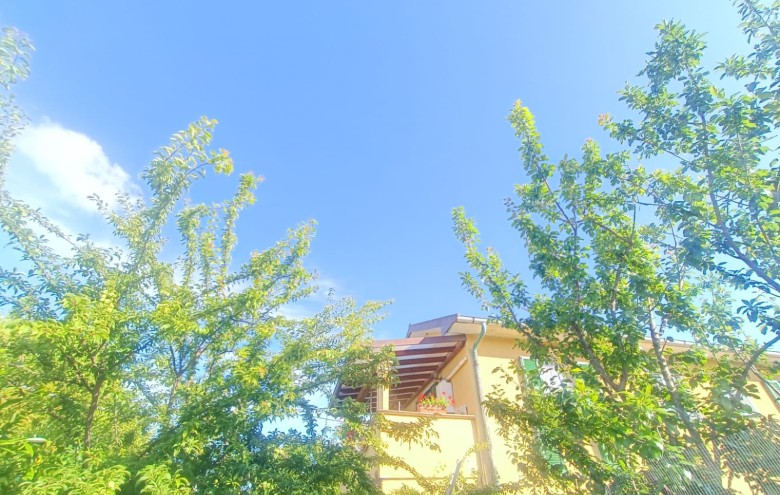 Agenzia Pegasus - 